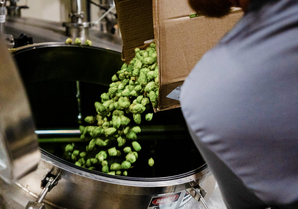 pouring in hops