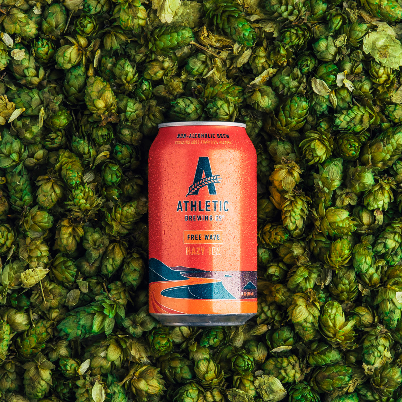 free wave in pile of hops